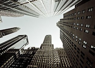 Leveraging Digital Trends for Business Growth